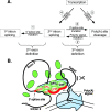 FIG. 6.