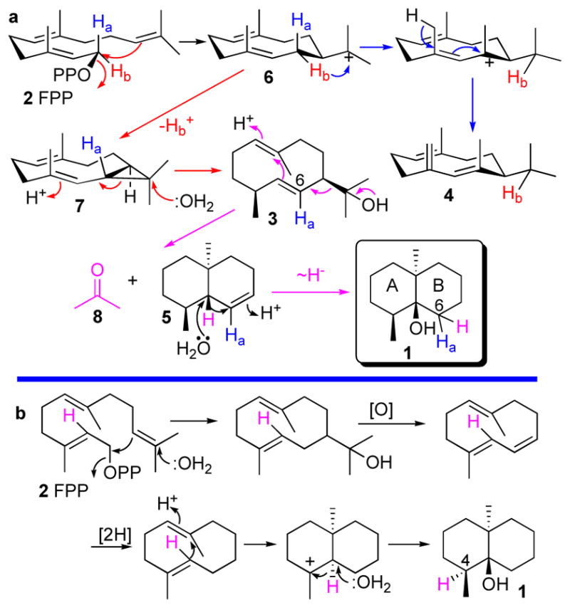 Scheme 1