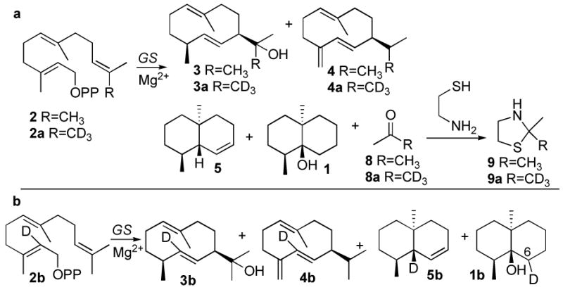 Scheme 2