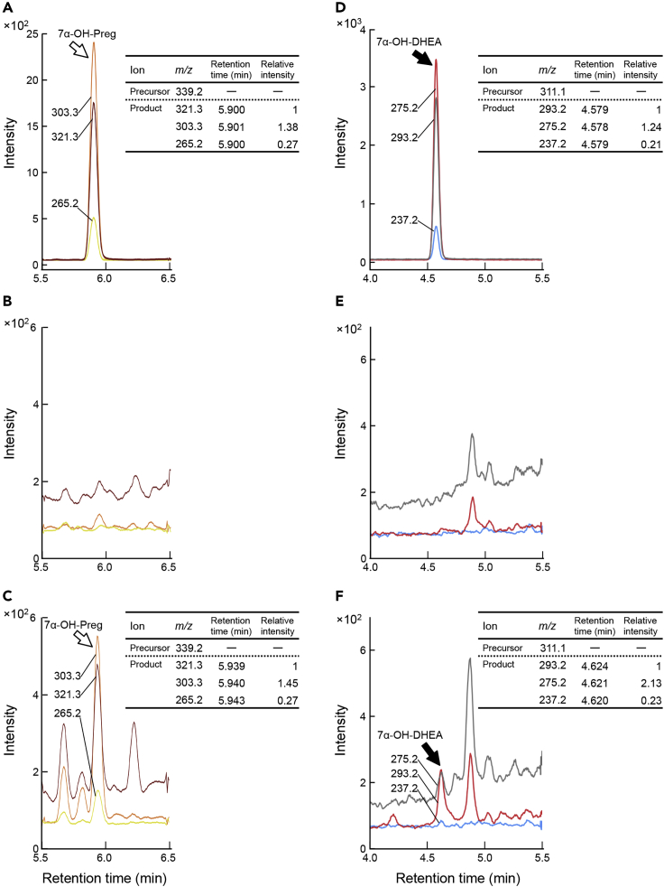 Figure 4