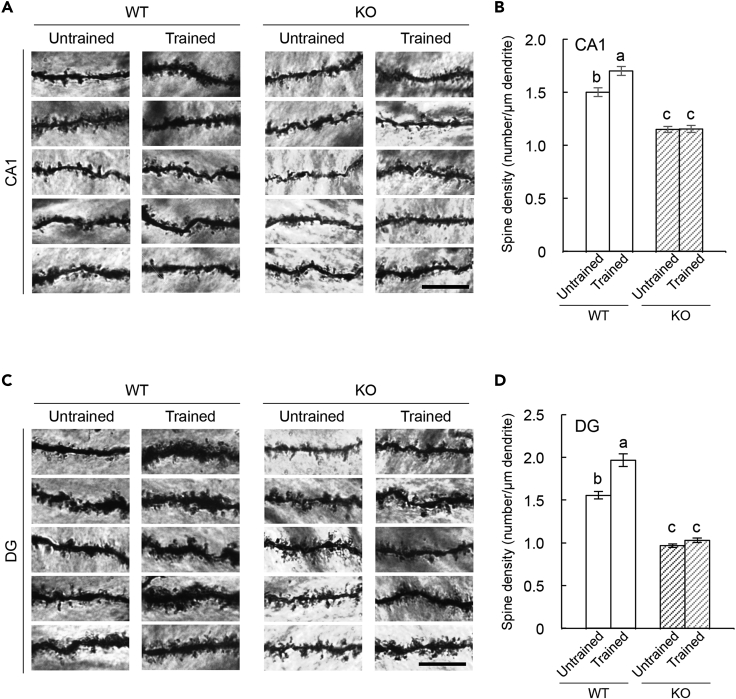 Figure 3