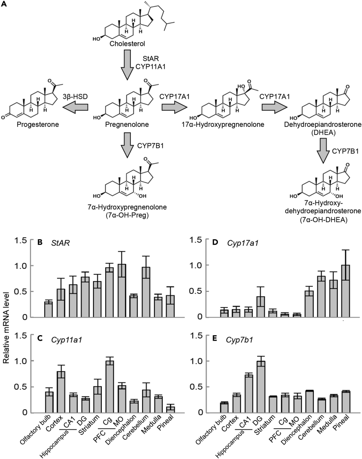 Figure 1