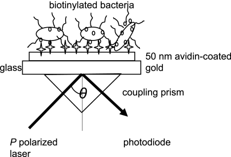 FIG. 1.