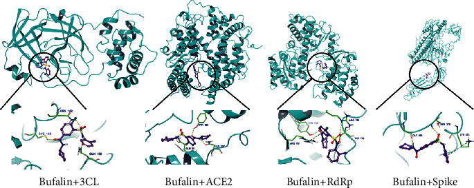 Figure 9