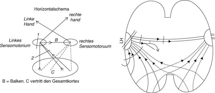 Fig 2.