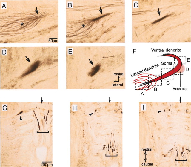 
Figure 10.
