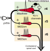 Figure 11.