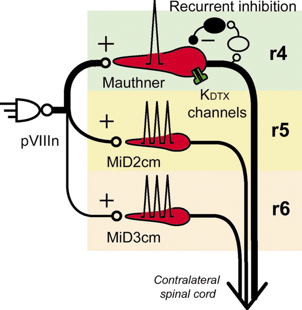 
Figure 11.
