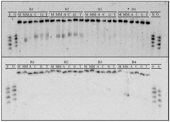 Figure 8