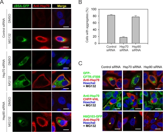 FIGURE 6: