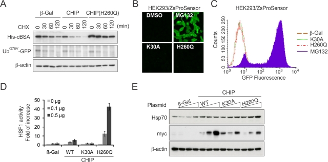 FIGURE 4: