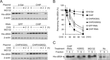 FIGURE 1: