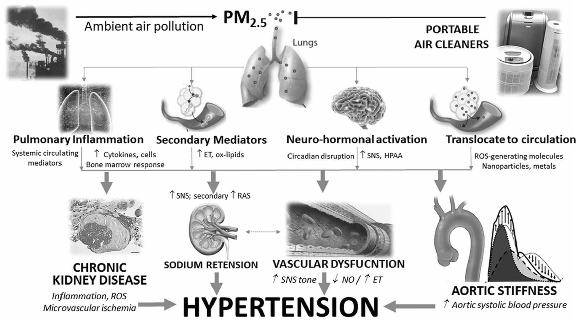 Fig. 2