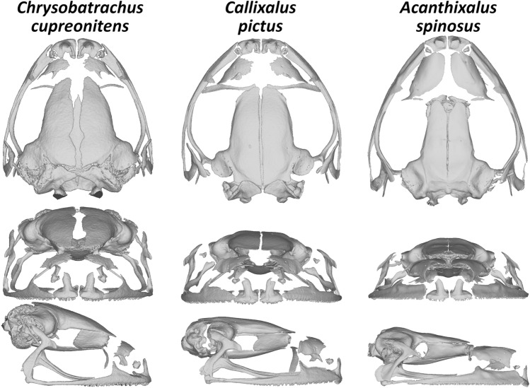 Figure 6