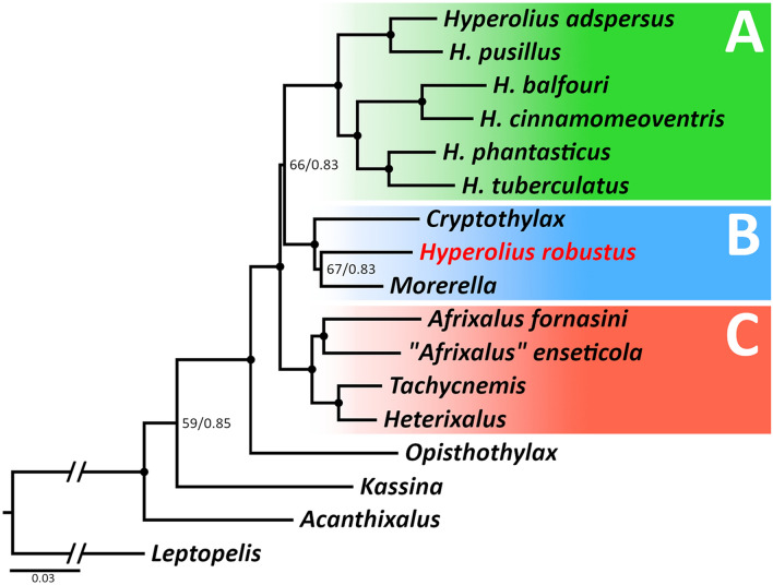 Figure 2