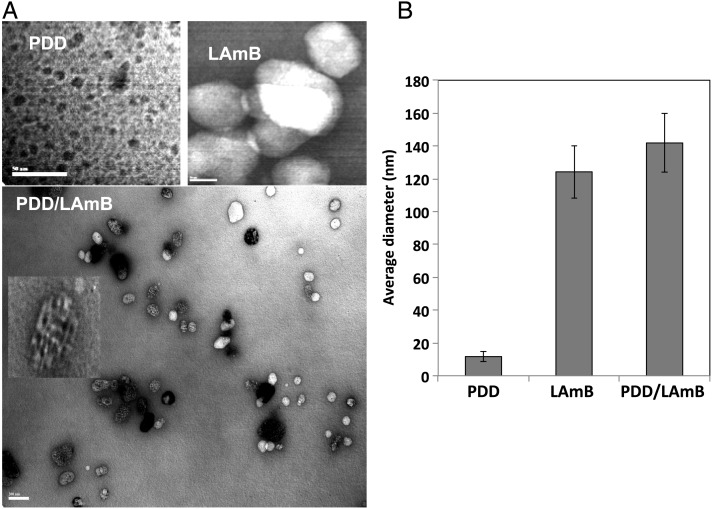 Figure 2.