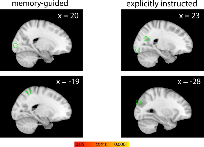 Figure 5—figure supplement 2.