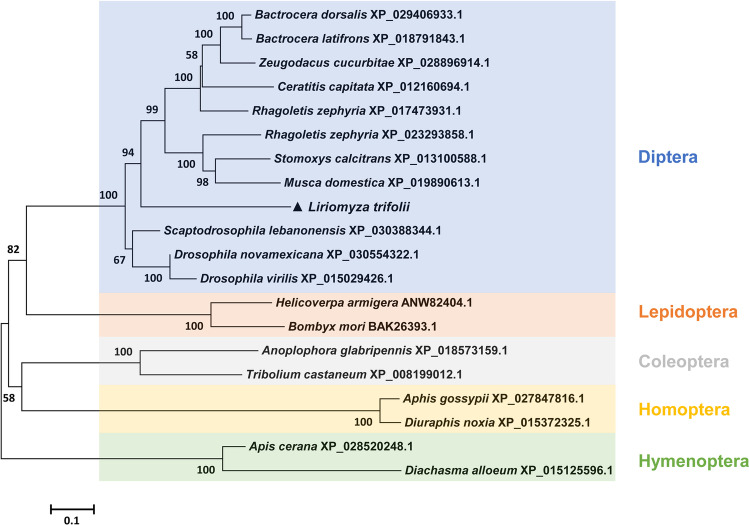 Fig. 2