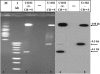 FIG. 5.