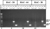 FIG. 7.