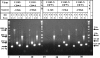FIG. 6.