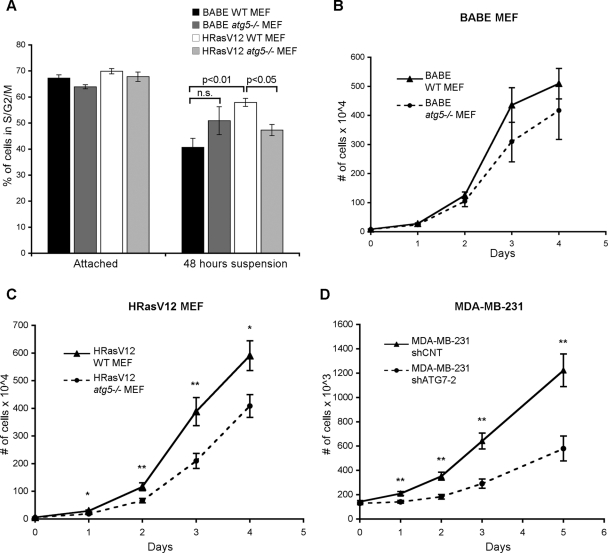 FIGURE 6: