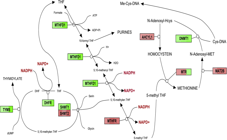 Figure 3