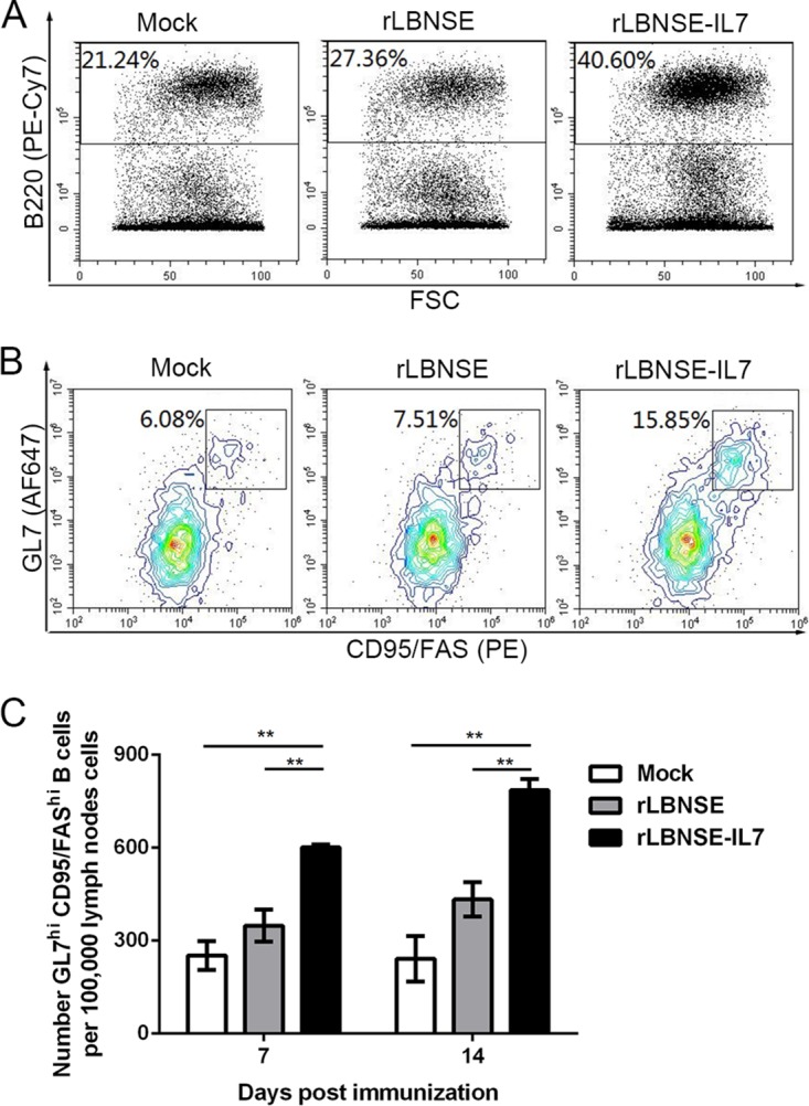 FIG 4