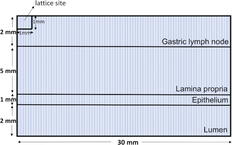 Figure 2: