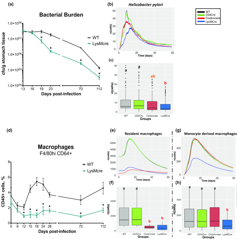 Figure 3: