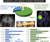 Graphical Abstract