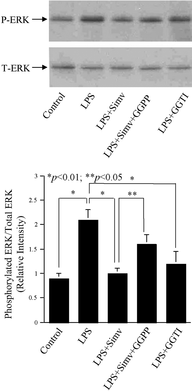 Fig. 9.