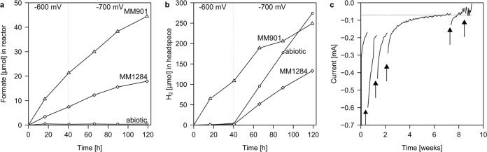 FIG 2 