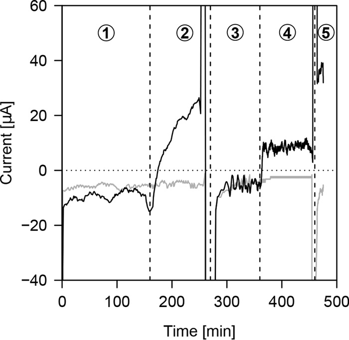 FIG 3 