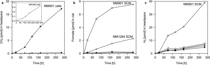 FIG 1 