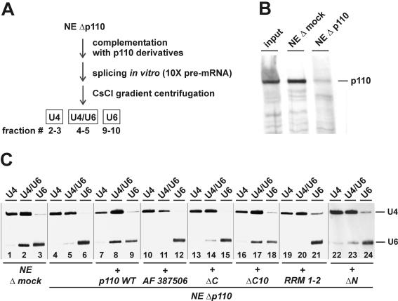 FIG. 4.