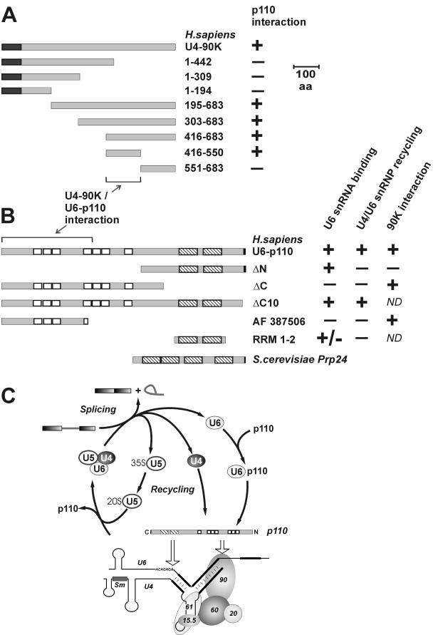 FIG. 6.