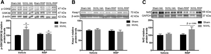 Figure 10.