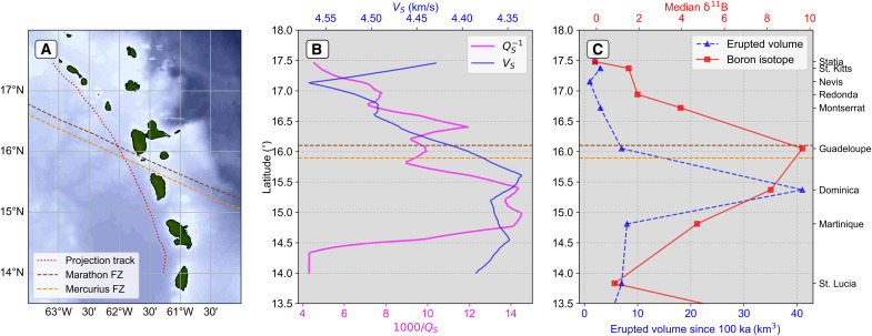 Fig. 7.