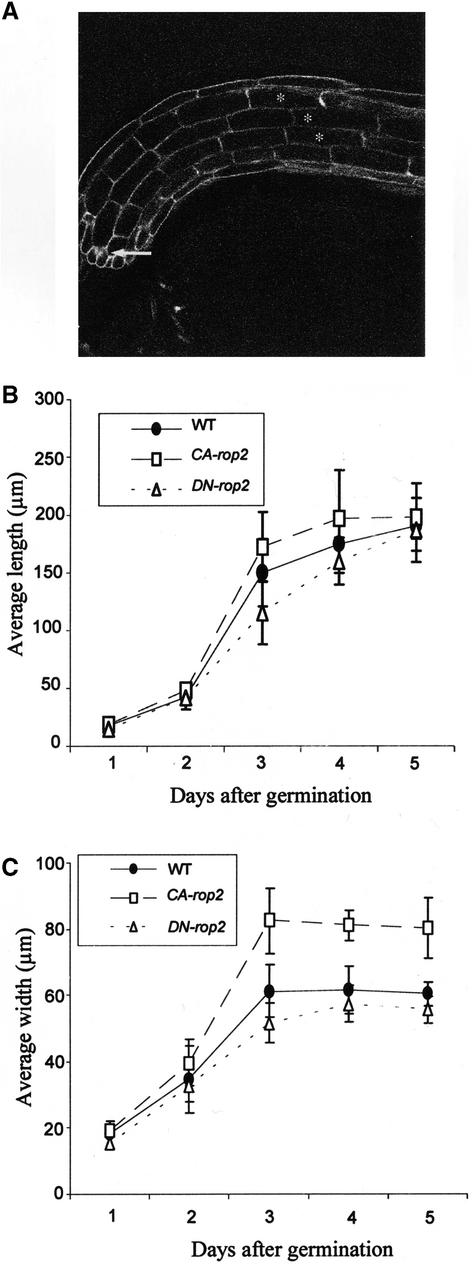 Figure 5.