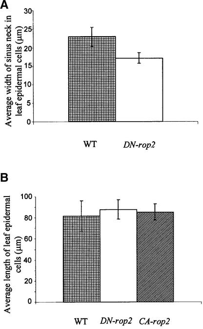 Figure 2.