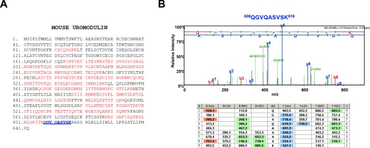 Figure 7—figure supplement 1.