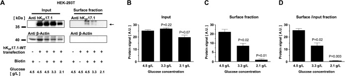 FIGURE 7: