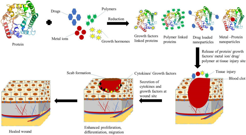 graphic file with name 11671_2023_3903_Figa_HTML.jpg