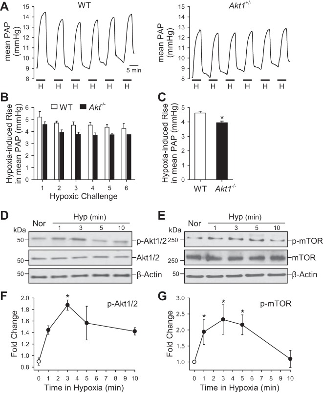 Fig. 9.