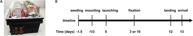 FIGURE 1