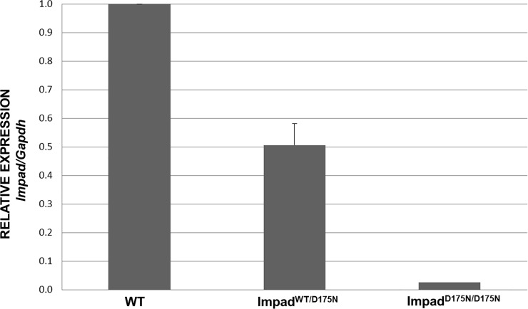 Fig 5