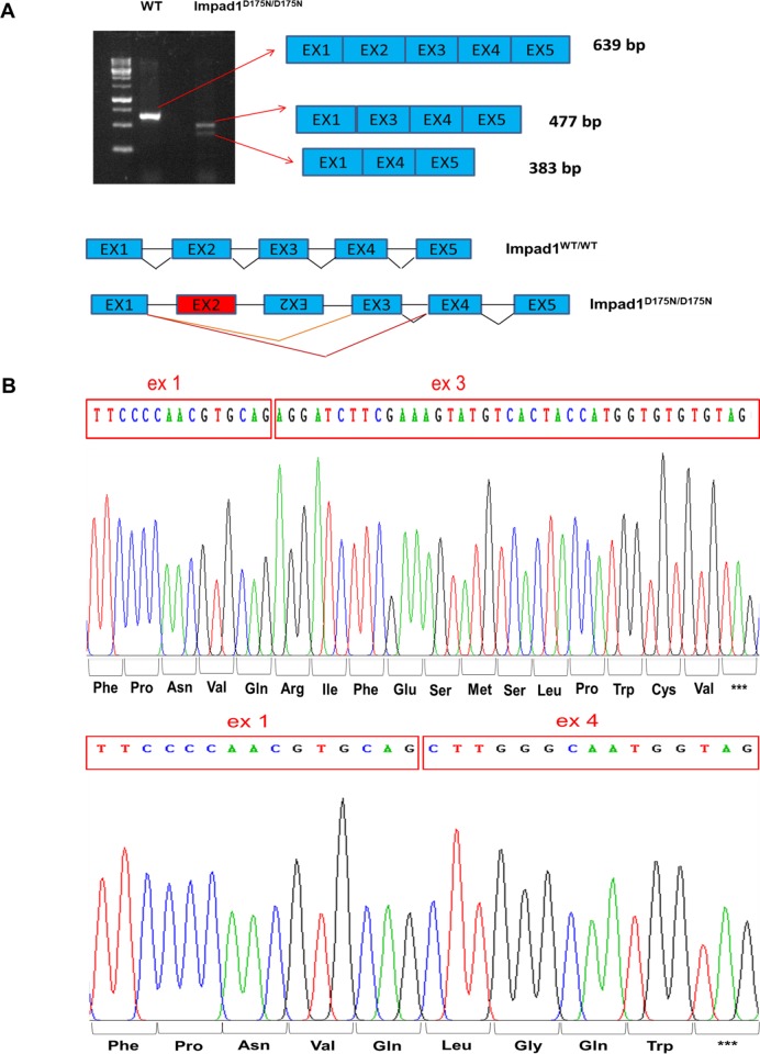 Fig 6