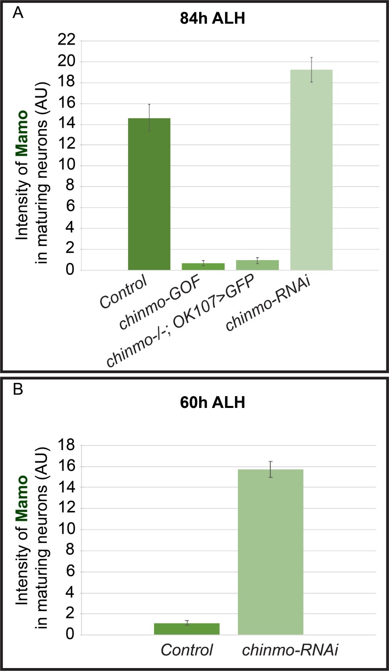 Figure 2—figure supplement 1.