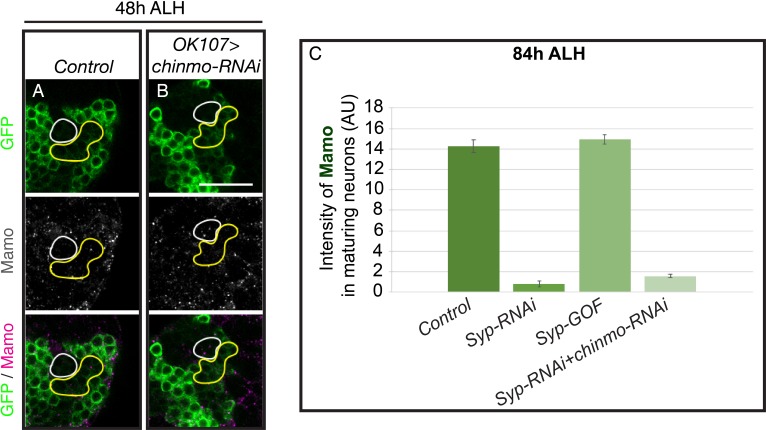 Figure 3—figure supplement 2.